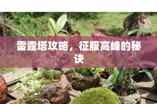 雷霆塔攻略,征服高峰的秘诀 雷霆塔攻略,征服高峰的秘诀