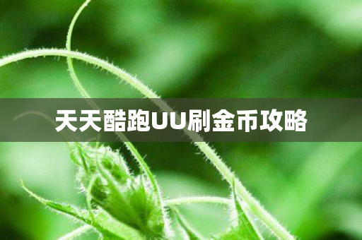 天天酷跑UU刷金币攻略 天天酷跑UU刷金币攻略