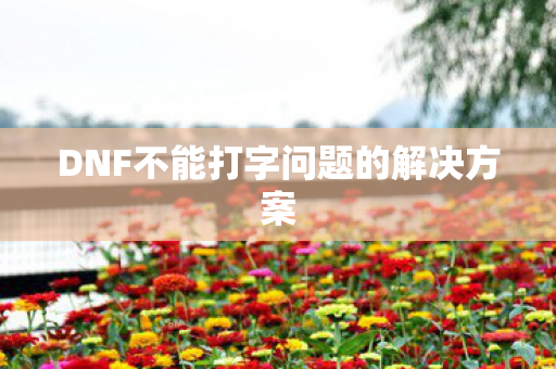 DNF不能打字问题的解决方案 DNF不能打字问题的解决方案