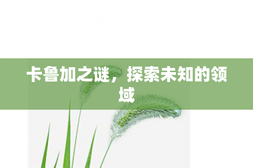 卡鲁加之谜,探索未知的领域 卡鲁加之谜,探索未知的领域