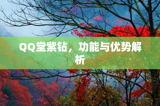 QQ堂紫钻，功能与优势解析