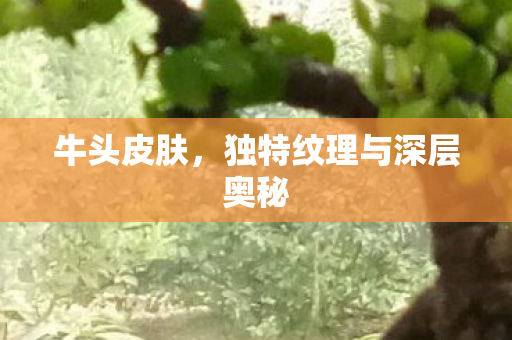 牛头皮肤，独特纹理与深层奥秘