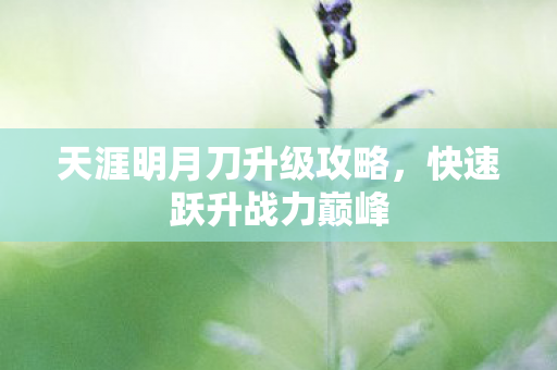天涯明月刀升级攻略,快速跃升战力巅峰 天涯明月刀升级攻略,快速跃升战力巅峰
