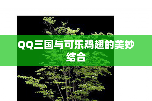 QQ三国与可乐鸡翅的美妙结合 QQ三国与可乐鸡翅的美妙结合