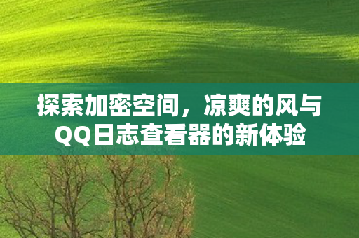 探索加密空间,凉爽的风与QQ日志查看器的新体验 探索加密空间,凉爽的风与QQ日志查看器的新体验