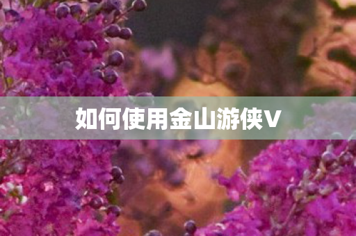 如何使用金山游侠V 如何使用金山游侠V
