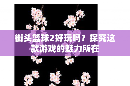 街头篮球2好玩吗?探究这款游戏的魅力所在 街头篮球2好玩吗?探究这款游戏的魅力所在