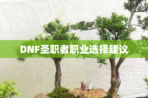 DNF圣职者职业选择建议 DNF圣职者职业选择建议