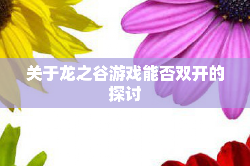 关于龙之谷游戏能否双开的探讨 关于龙之谷游戏能否双开的探讨