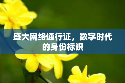 盛大网络通行证，数字时代的身份标识
