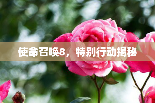 使命召唤8,特别行动揭秘 使命召唤8,特别行动揭秘
