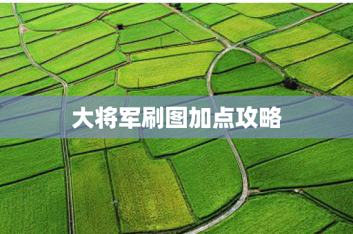 大将军刷图加点攻略