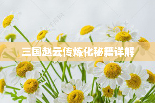 三国赵云传炼化秘籍详解 三国赵云传炼化秘籍详解