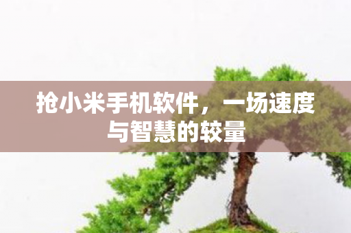 抢小米手机软件,一场速度与智慧的较量 抢小米手机软件,一场速度与智慧的较量