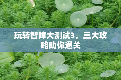 玩转智障大测试3,三大攻略助你通关 玩转智障大测试3,三大攻略助你通关