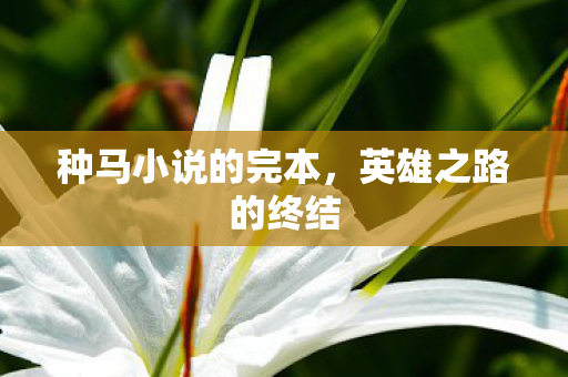种马小说的完本,英雄之路的终结 种马小说的完本,英雄之路的终结