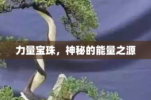 力量宝珠,神秘的能量之源 力量宝珠,神秘的能量之源