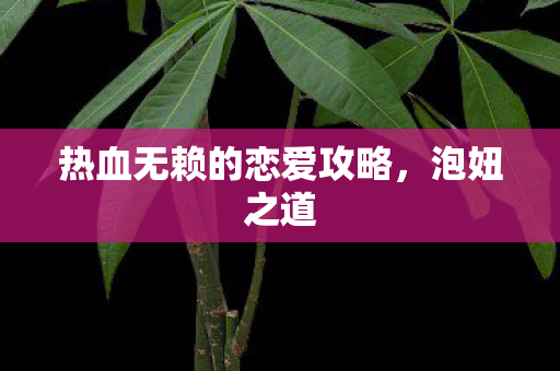 热血无赖的恋爱攻略，泡妞之道