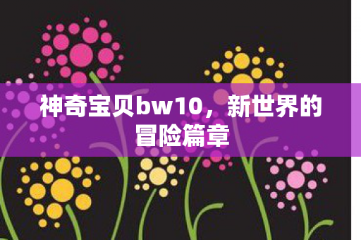 神奇宝贝bw10,新世界的冒险篇章 神奇宝贝bw10,新世界的冒险篇章