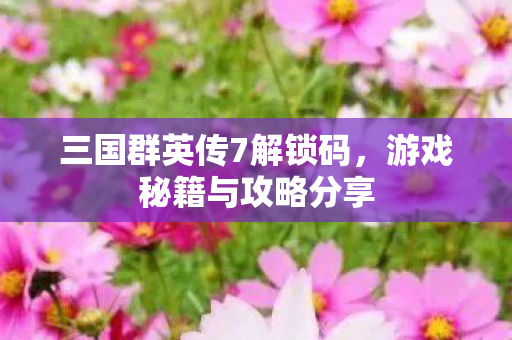 三国群英传7解锁码，游戏秘籍与攻略分享