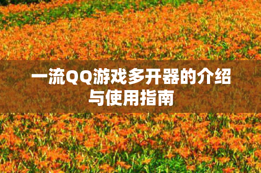 一流QQ游戏多开器的介绍与使用指南