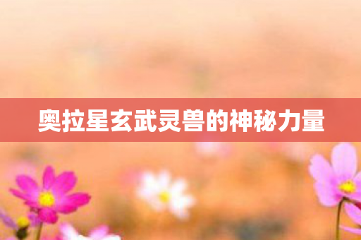 奥拉星玄武灵兽的神秘力量 奥拉星玄武灵兽的神秘力量