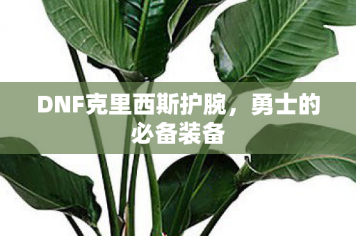 DNF克里西斯护腕,勇士的必备装备 DNF克里西斯护腕,勇士的必备装备