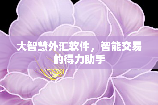 大智慧外汇软件,智能交易的得力助手 大智慧外汇软件,智能交易的得力助手