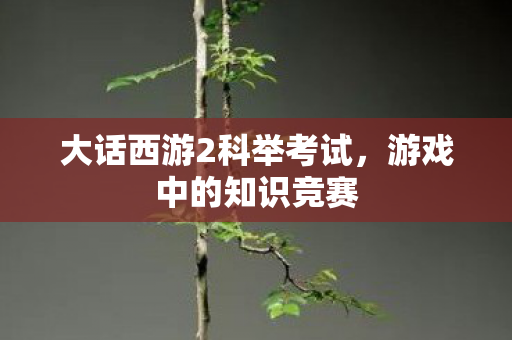 大话西游2科举考试，游戏中的知识竞赛