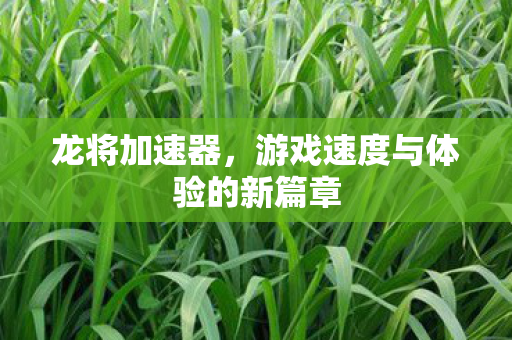 龙将加速器,游戏速度与体验的新篇章 龙将加速器,游戏速度与体验的新篇章
