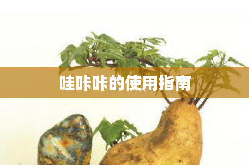 哇咔咔的使用指南 哇咔咔的使用指南