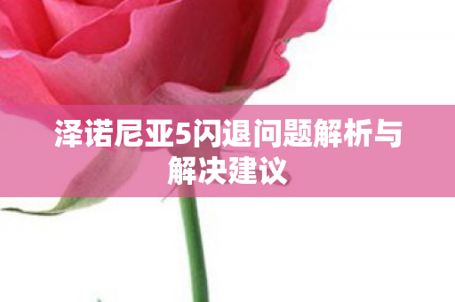 泽诺尼亚5闪退问题解析与解决建议 泽诺尼亚5闪退问题解析与解决建议