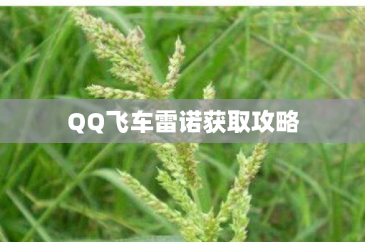QQ飞车雷诺获取攻略