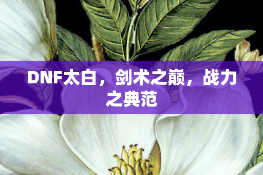DNF太白,剑术之巅,战力之典范 DNF太白,剑术之巅,战力之典范