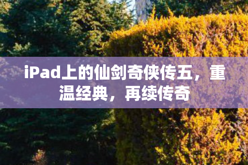 iPad上的仙剑奇侠传五,重温经典,再续传奇 iPad上的仙剑奇侠传五,重温经典,再续传奇