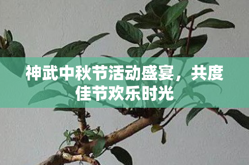 神武中秋节活动盛宴,共度佳节欢乐时光 神武中秋节活动盛宴,共度佳节欢乐时光