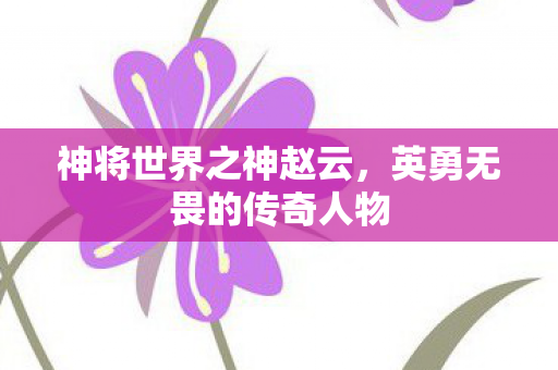 神将世界之神赵云,英勇无畏的传奇人物 神将世界之神赵云,英勇无畏的传奇人物