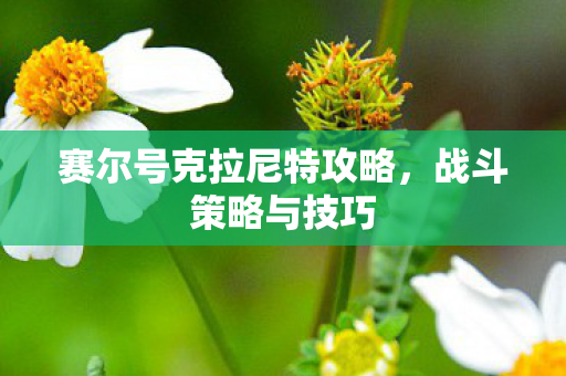 赛尔号克拉尼特攻略,战斗策略与技巧 赛尔号克拉尼特攻略,战斗策略与技巧