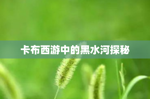 卡布西游中的黑水河探秘 卡布西游中的黑水河探秘