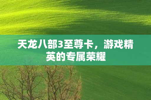 天龙八部3至尊卡,游戏精英的专属荣耀 天龙八部3至尊卡,游戏精英的专属荣耀