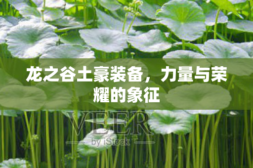 龙之谷土豪装备,力量与荣耀的象征 龙之谷土豪装备,力量与荣耀的象征