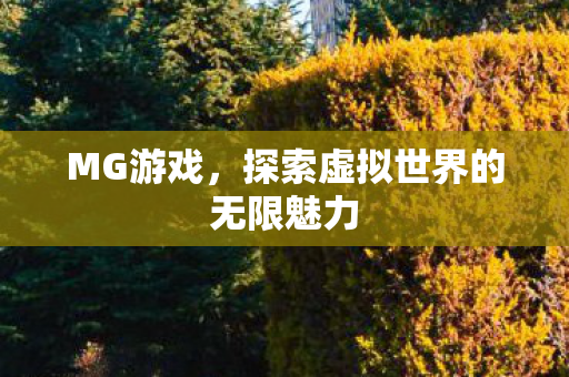 MG游戏，探索虚拟世界的无限魅力