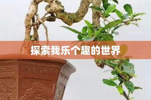 探索我乐个趣的世界