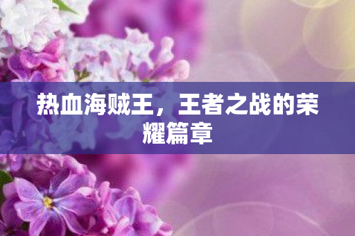 热血海贼王，王者之战的荣耀篇章