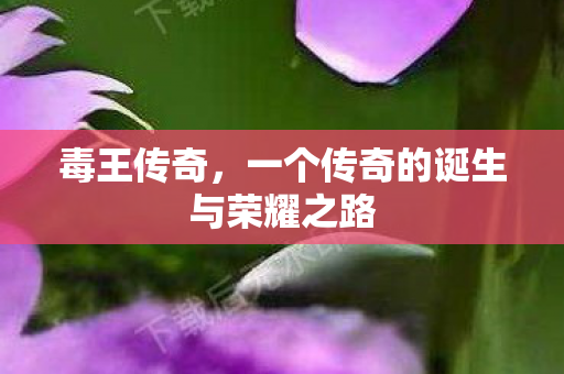毒王传奇，一个传奇的诞生与荣耀之路