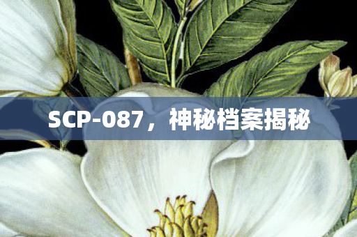 SCP-087,神秘档案揭秘 SCP-087,神秘档案揭秘