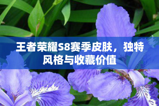 王者荣耀S8赛季皮肤，独特风格与收藏价值
