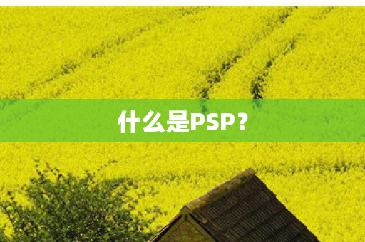 什么是PSP? 什么是PSP?