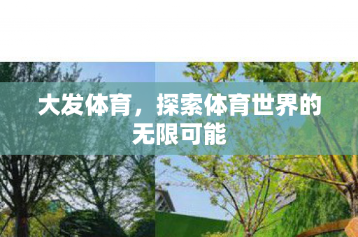 大发体育,探索体育世界的无限可能 大发体育,探索体育世界的无限可能
