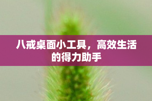 八戒桌面小工具,高效生活的得力助手 八戒桌面小工具,高效生活的得力助手